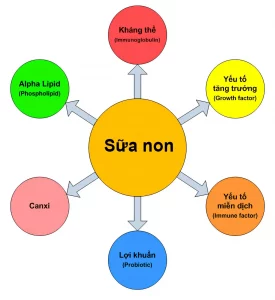 Công dụng tuyệt vời của sữa non