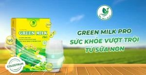 Sữa non dinh dưỡng giúp cải thiện sức đề kháng