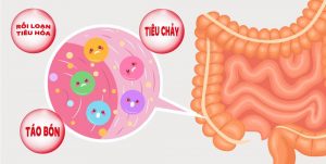 Hệ tiêu hóa của trẻ nhỏ còn non nớt nên dễ gặp nhiều vấn đề tiêu hóa
