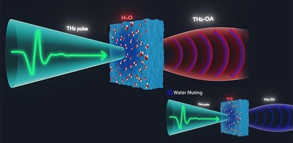 Sóng Terahertz Là Gì? Ứng Dụng Trong Thiết Bị MN Health Care của Mộc Nhiên