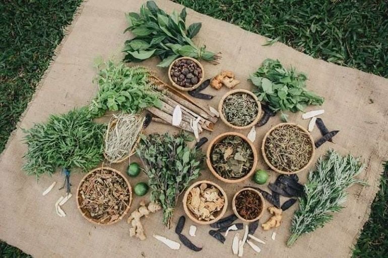 Tại Sao Nên Dùng Dầu Gội Thảo Dược? Hành Trình Khám Phá Mái Tóc Khỏe Đẹp Từ Thiên Nhiên