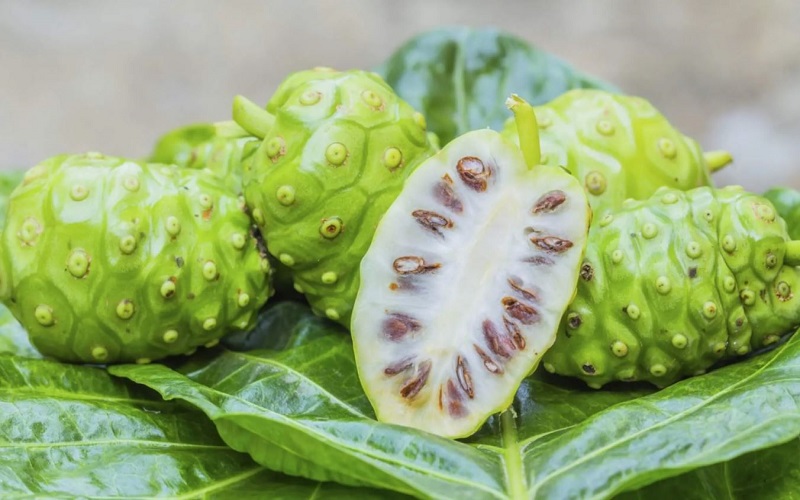 Hình ảnh trái nhàu