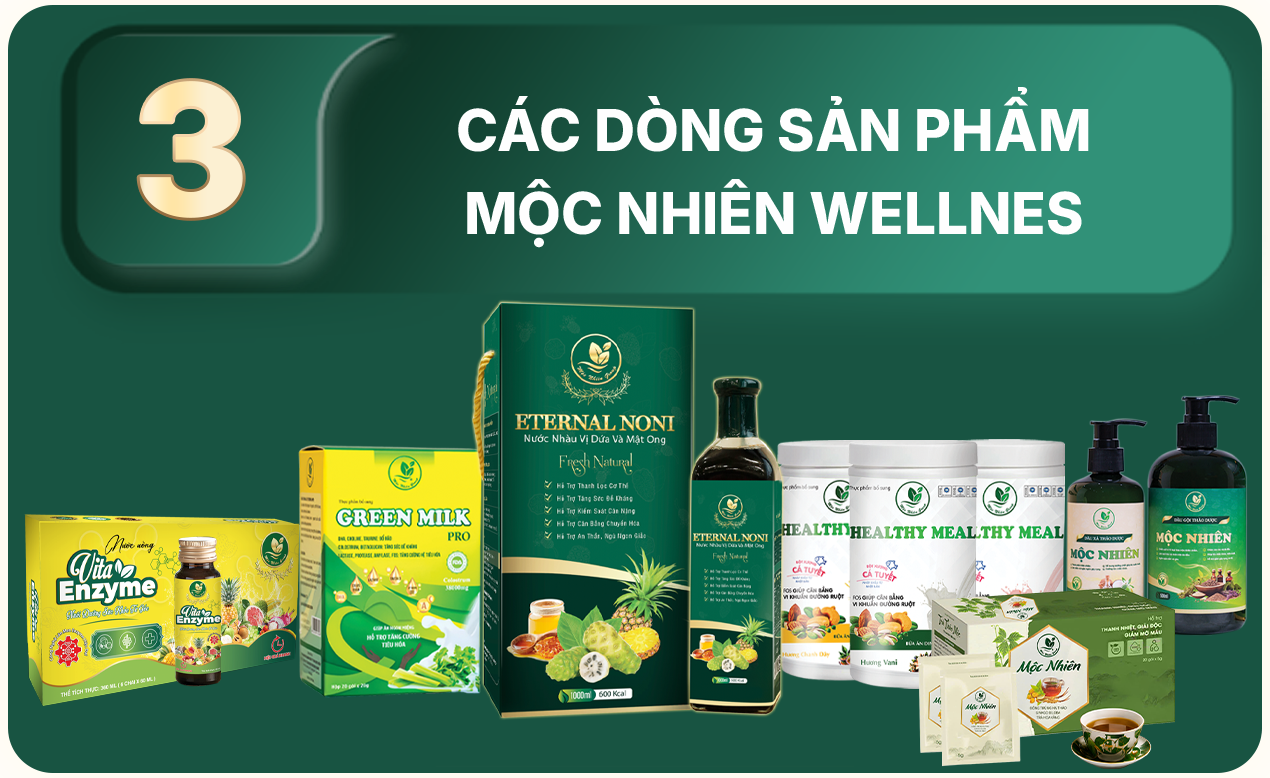 Hạng mục 3